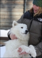 aslan_sara_9554