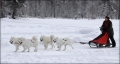 100217_jytte_4spand_1506