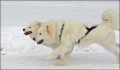 anouk_aslan_0478