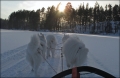 slaedepose_0790