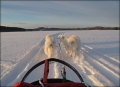 slaedepose_0818
