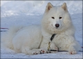 anouk_0380