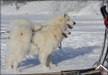 anouk_aslan_0229