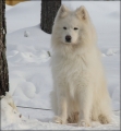furudal_balledreng_0655