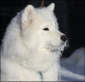 penny_is_0323