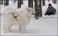 100213_josh_9936