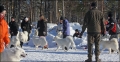 total_9801