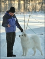 vitus_9636