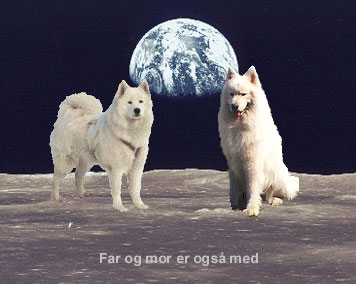 Rosa og Gismo fulgte med