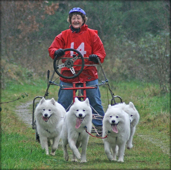 jytteloerdag600.jpg - Et lettet smil mod slutningen første dag. Hundene afslørede, at de kender forskel på højre og venstre og gad lytte til mine kommandoer. Herligt. Derhjemme på de kendte ruter kan man jo godt blive i tvivl om det er mig eller hundene, der finder vej... Foto: Vibeke Laursen