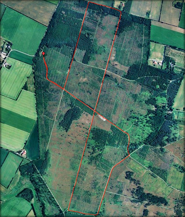 ruten.jpg - Stursbøl Plantage ligger ved Jels et godt stykke syd for Kolding. Ruten til løbet var for 4hundeklassen lige knap 6 km. Det er den der ses på kortet her. For de øvrige klasser var den omkring 1,5 km kortere.