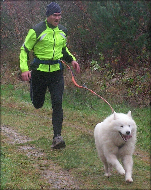 toreA.jpg - UHH HA DA DA.. Tore Ottensten med Junior fik da lige novembervejret at føle ude på ruten. Men de ser da ud til at være i fin form alligevel.. Foto: Vibeke Laursen.