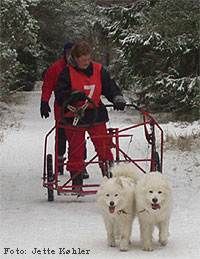 Blanca og Alpha efter lbet lrdag