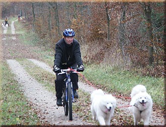 Rikke var rigtig godt tilfreds med sine hunde