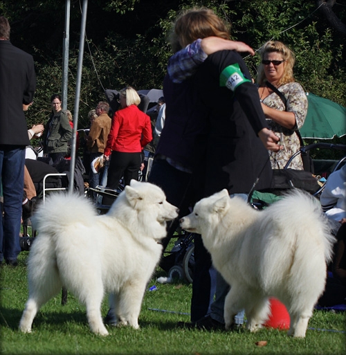 tilykke_1842.jpg - Knus fra Pernilla mens Penny og ayla sr hinanden lidt an.