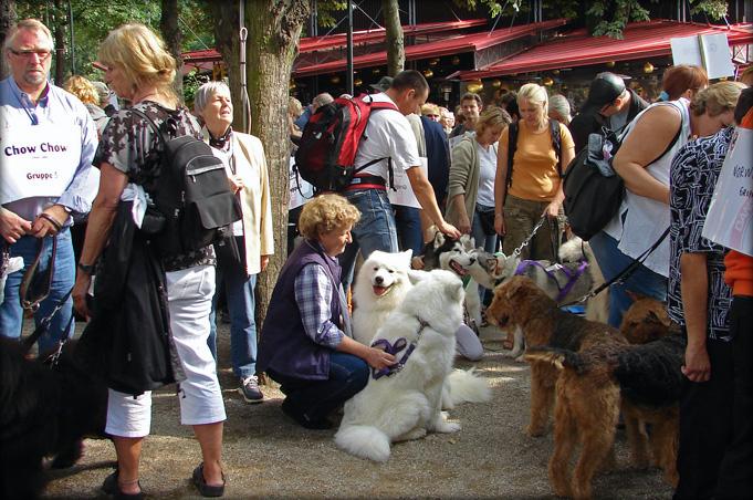 indenparade.jpg - Derefter hurtigt hen for at stille op til raceparade gennem haven...