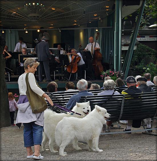 musik_2256.jpg - Lidt musik inden Tivoli-besøget er slut