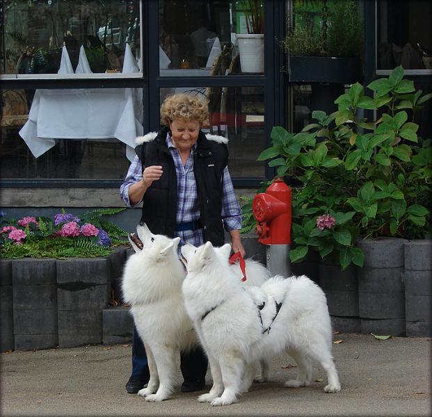 oevelse.jpg - Nu iført trækseler lidt træning i parklasse inden det blev vores tur på scenen