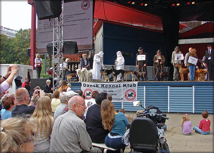 scenentotal.jpg - Cirka 20 racer var med i præsentationen af "Hunde Verden Rundt" - og der blev fotograferet på livet løs