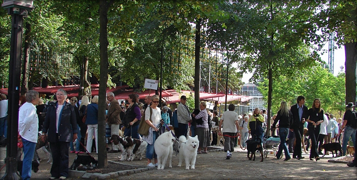 venterB019.jpg - Lidt kaos med masser af mennesker og hunde inden alle var på rette plads inden paraden begyndte